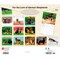 For the Love of German Shepherds | 2026 14 x 24 Inch (Hanging) Monthly Deluxe Wall Calendar | Foil Stamped Cover | Plastic-Free